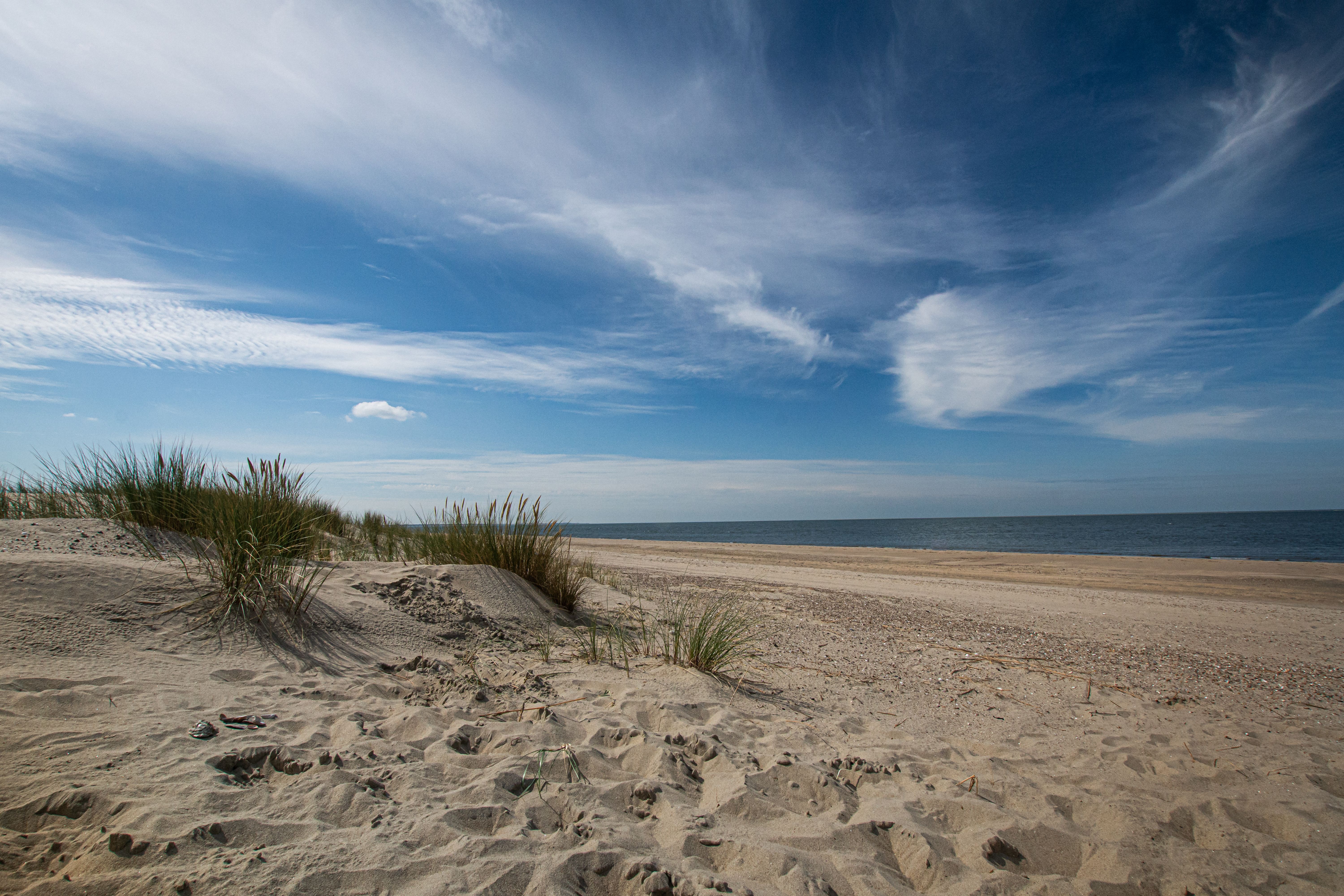 A quiet Delaware dune path leading toward the coast